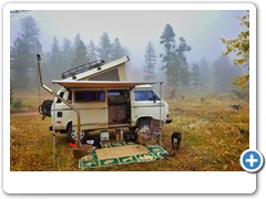 Foggy Morning with Loki