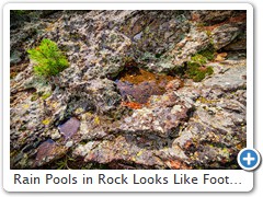 Rain Pools in Rock Looks Like Footprint