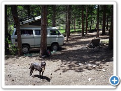 Surveying the campsite