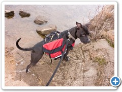 Loki modeling his backpack