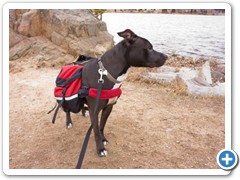 Loki modeling his backpack