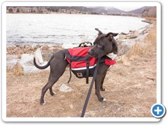 Loki modeling his backpack