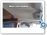 Headliner from donor van