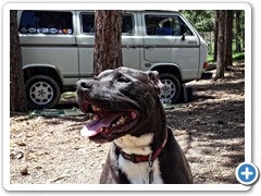 2016-June Nat Forest Parachute Hill 7 Loki cu