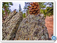 1526134_10206347295826264_4959637098836289232_n