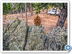 2015 Nat Forest Parachute Hill best site 8