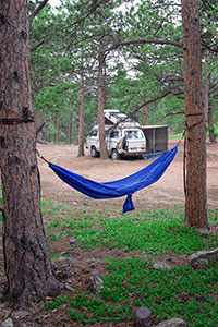 Forest Bliss in my VW Westfalia Syncro
