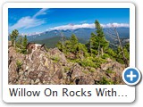 Willow On Rocks With Meeker Mountain