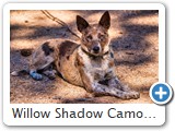 Willow Shadow Camouflage