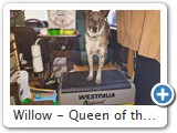 Willow - Queen of the Van